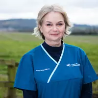 Rachel Hylton - Veterinary Surgeon