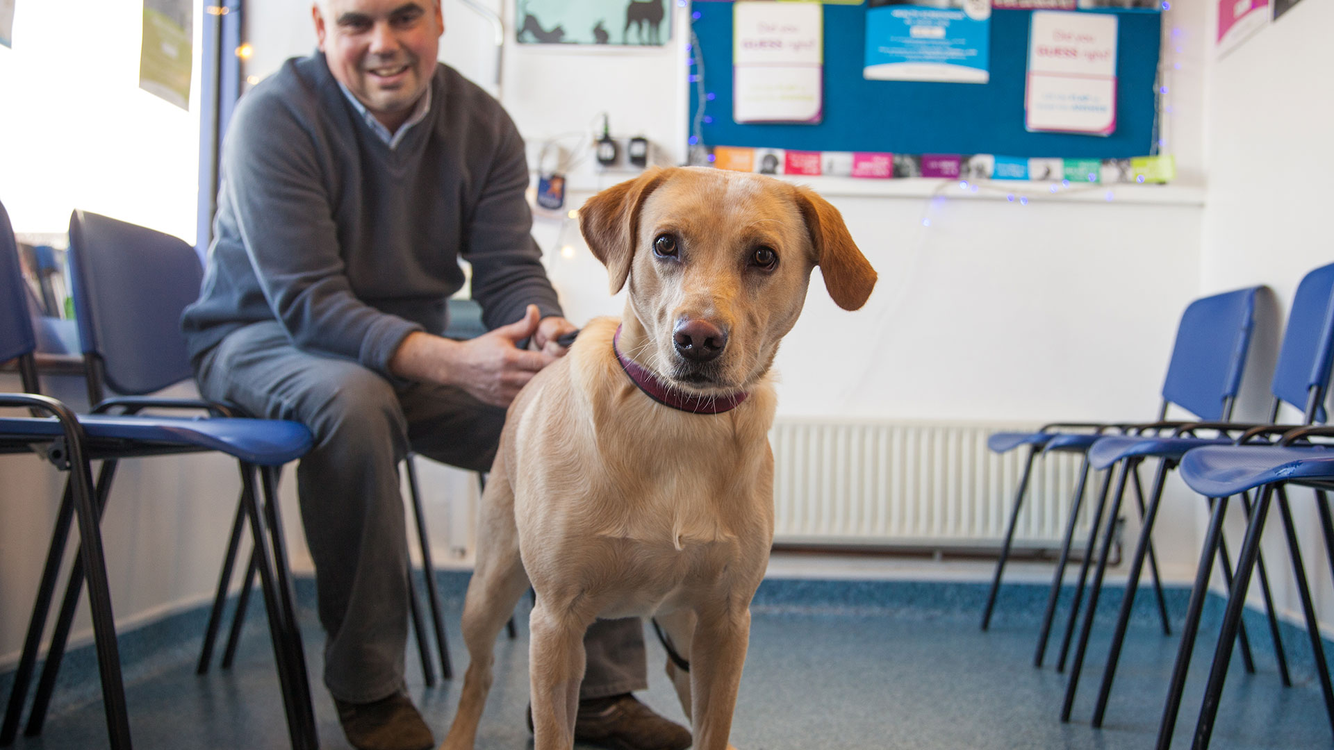 Choosing a New Pet Local Vets in Hastings, East Sussex 1066
