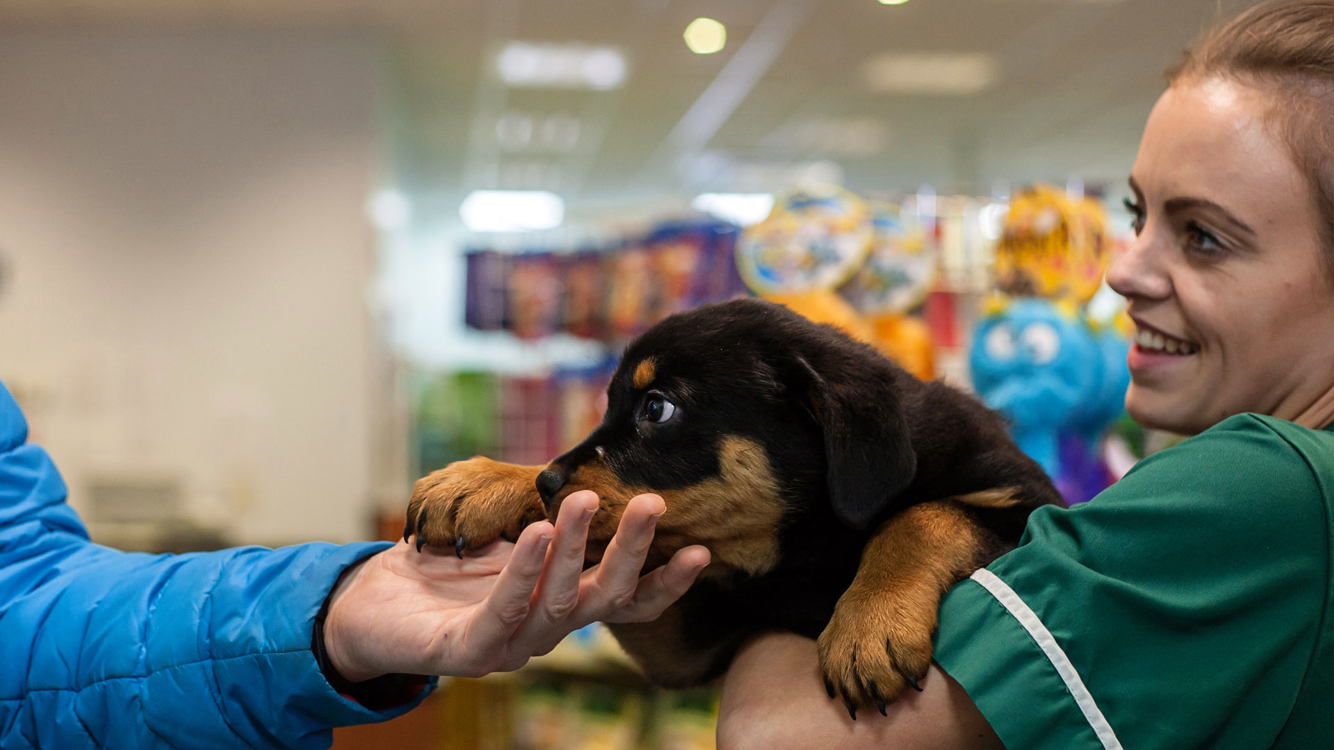 Meet The Team Local Vets in Durham Abbey Vets