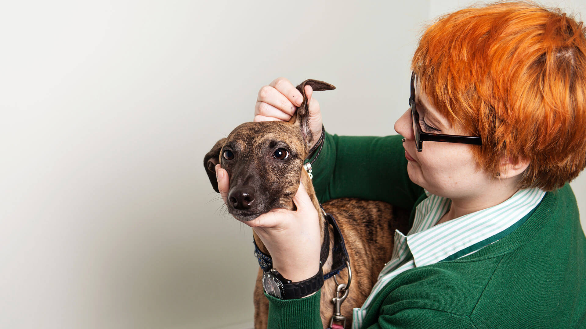 Pet Advice Local Vets in Durham Abbey Vets