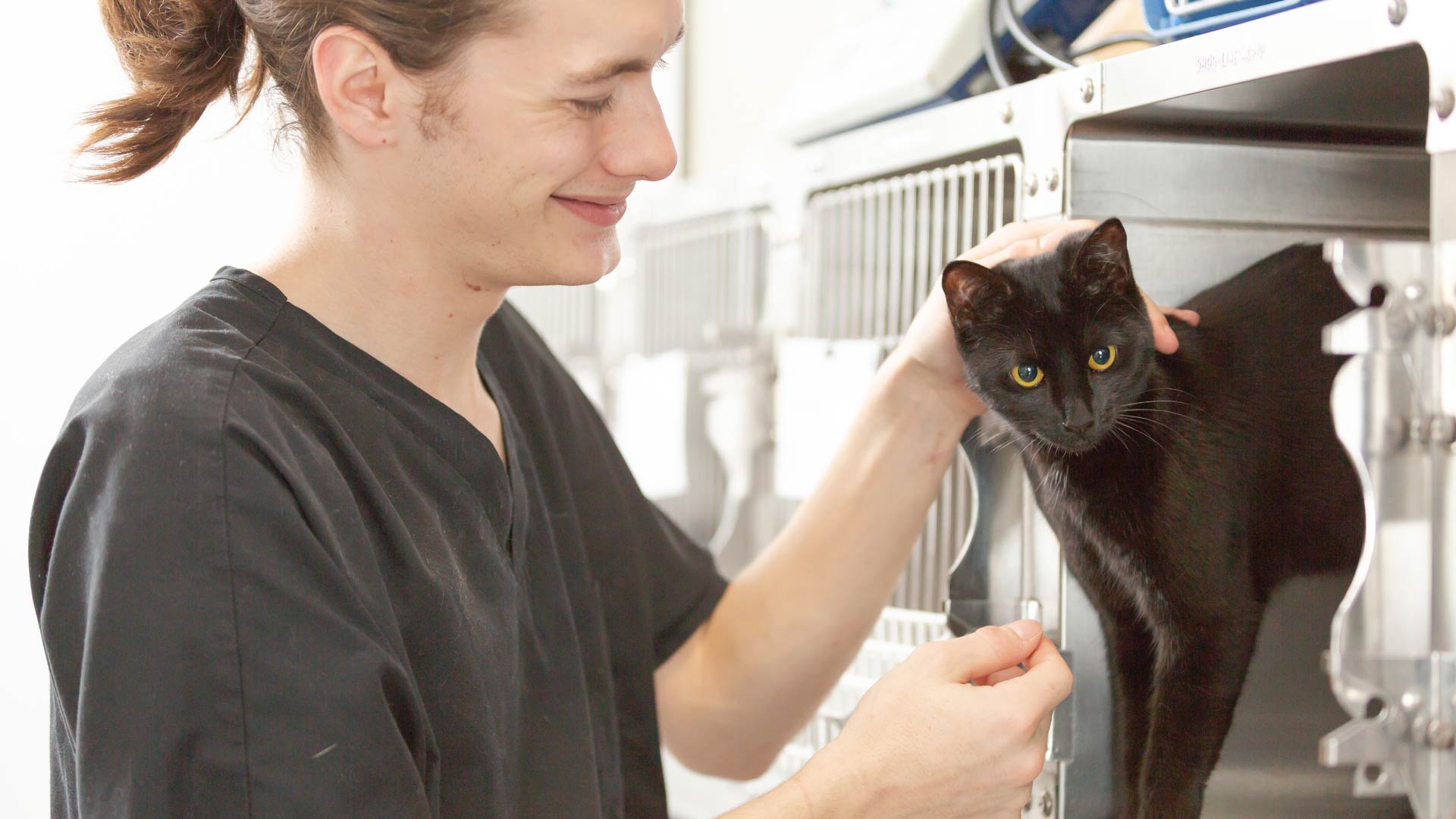 Meet the Team Local Vets in Newton Stewart and Stranraer Academy Vets