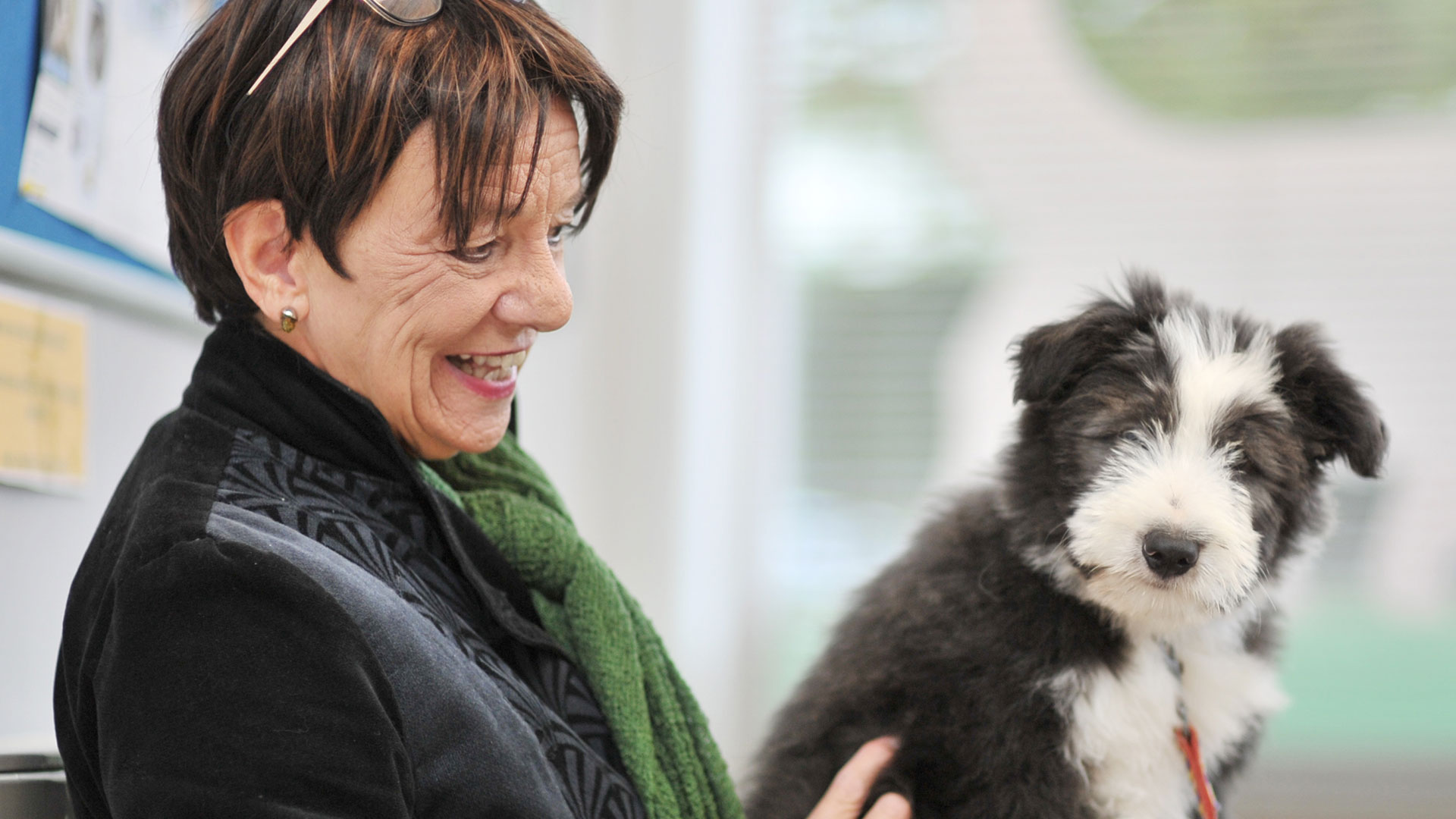 About Us Local Vets in Liverpool Adams Vets