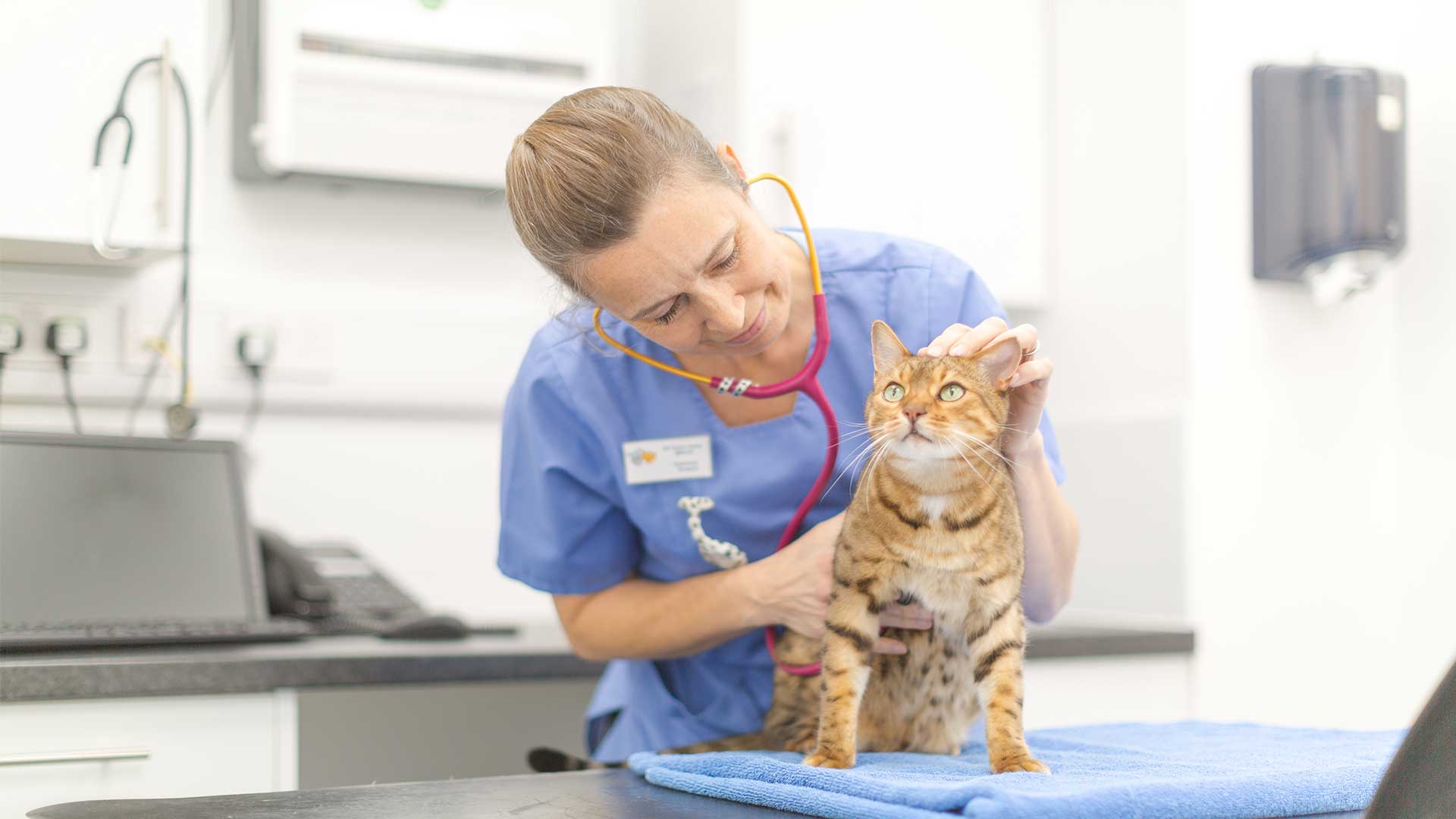 Client Charter Vets in Bedfordshire Adelaide Vet Centre