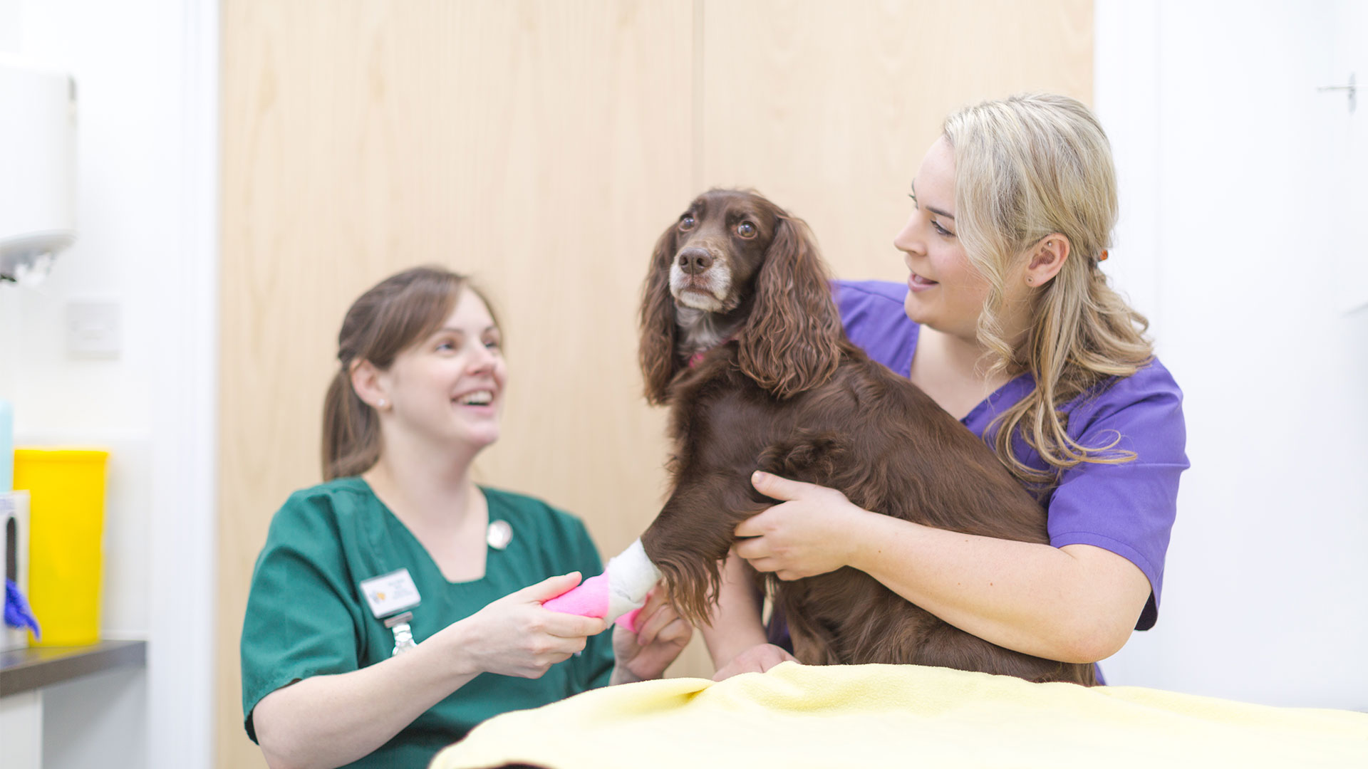 Meet the Team Local Vets in Bedfordshire Adelaide Vet Centre