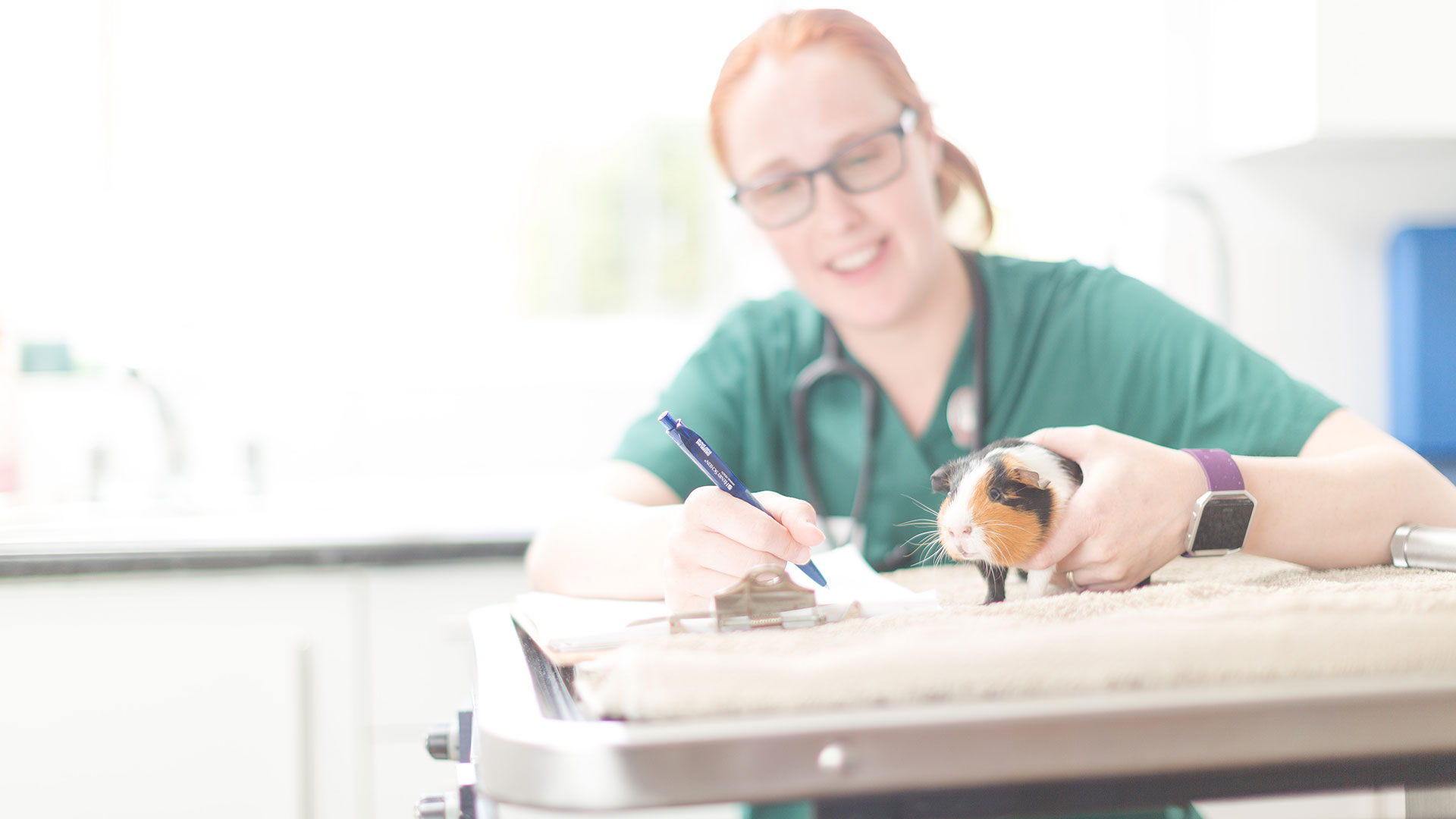 Food & Repeat Prescriptions Local Vets in Bourne and Spalding Alder