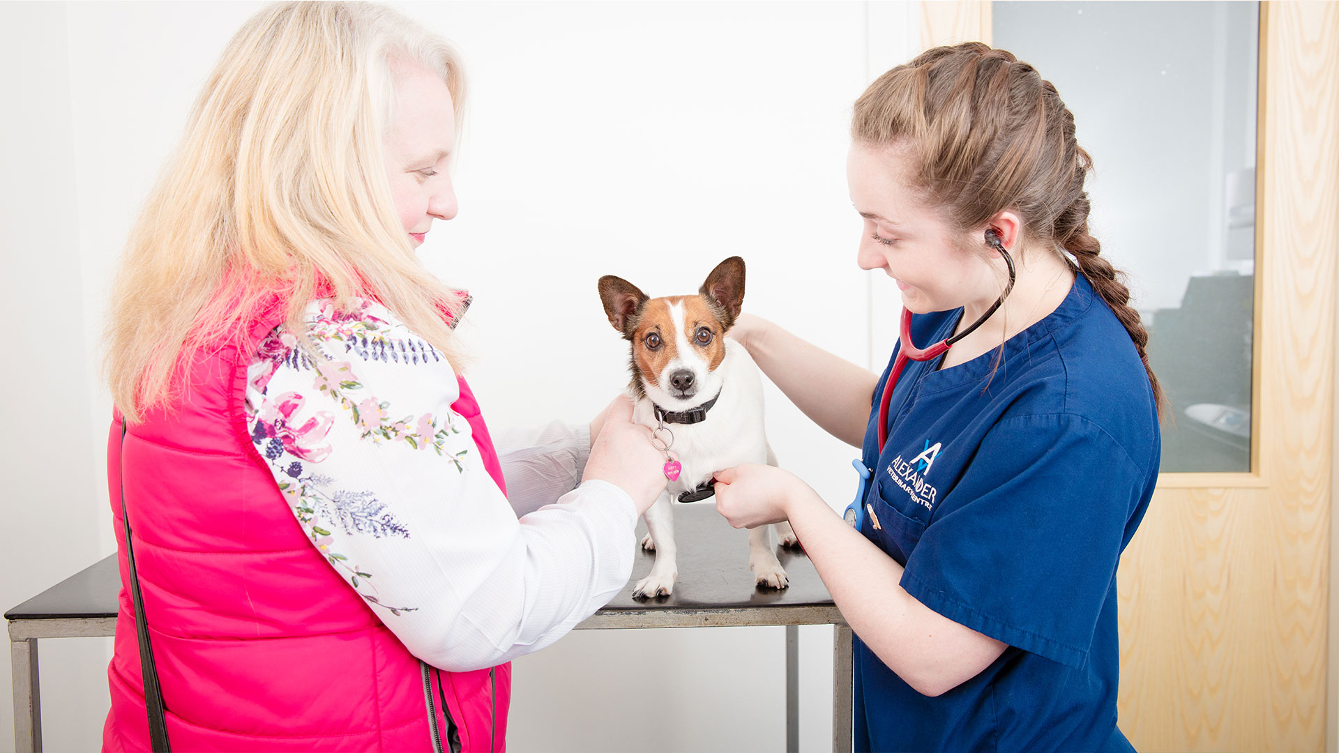 About us Local Vets in Barrow Furness, Cumbria Alexander Vets