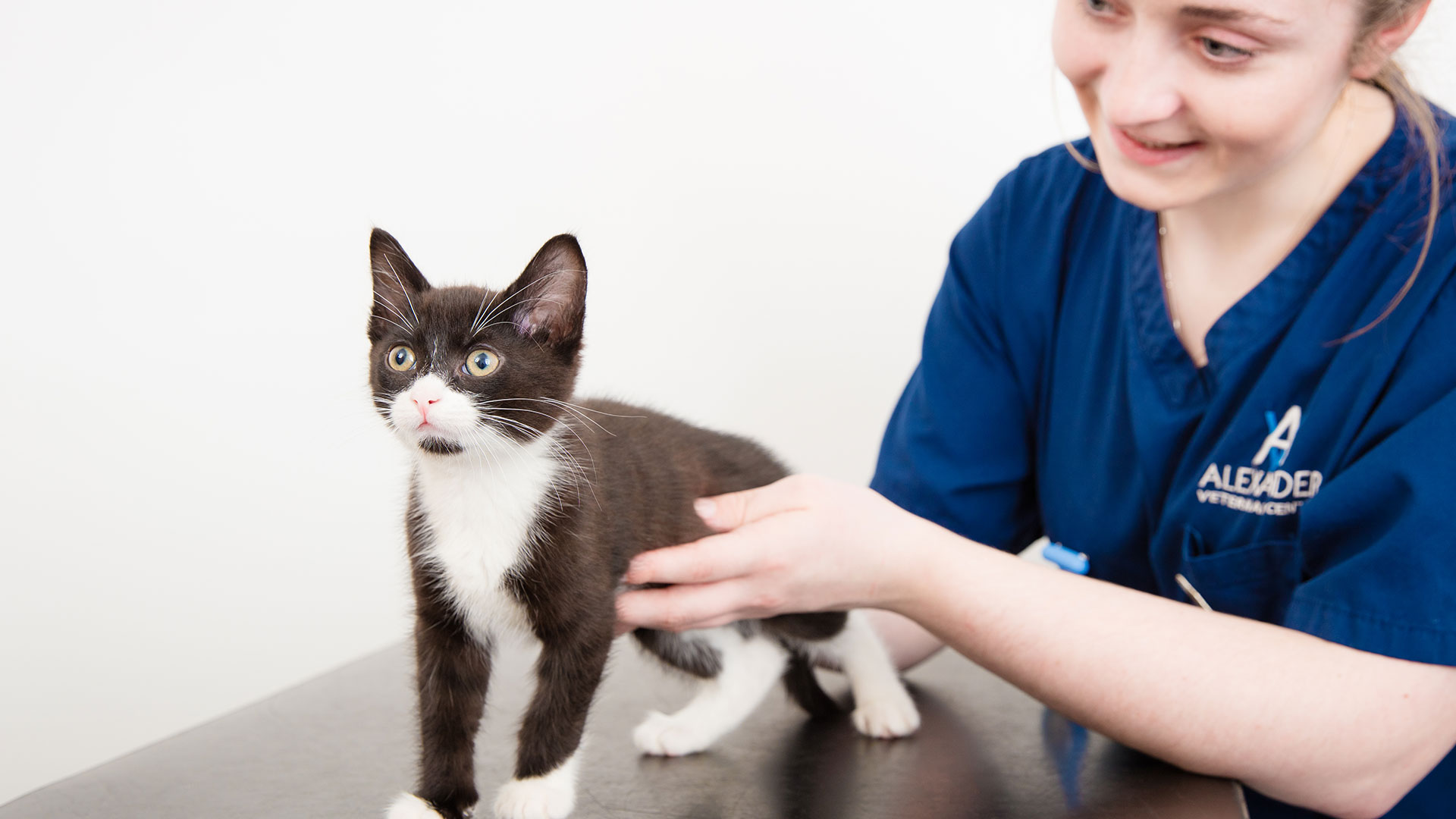 Veterinary Services Local Vets in Barrow Furness, Cumbria Alexander Vets
