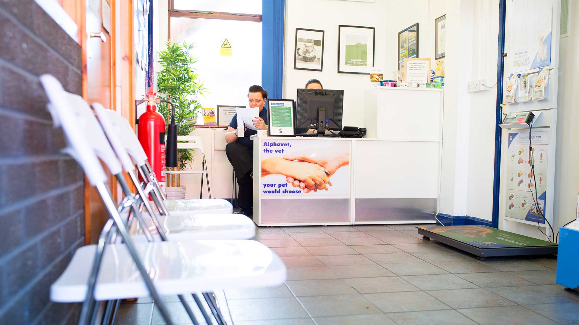 Contact Us | Local Vets in Risca & Langstone - Alpha Vets