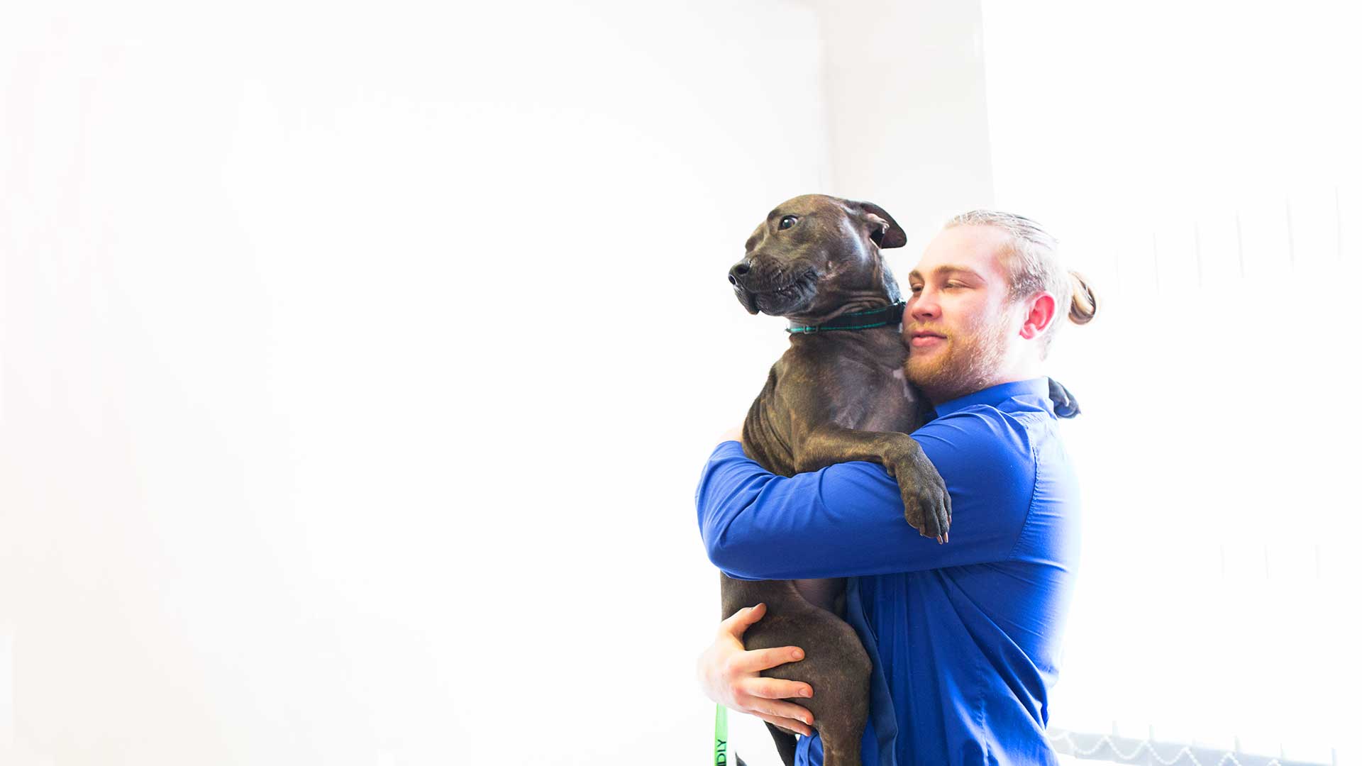 About Us | Local Vets in Risca & Langstone - Alpha Vets