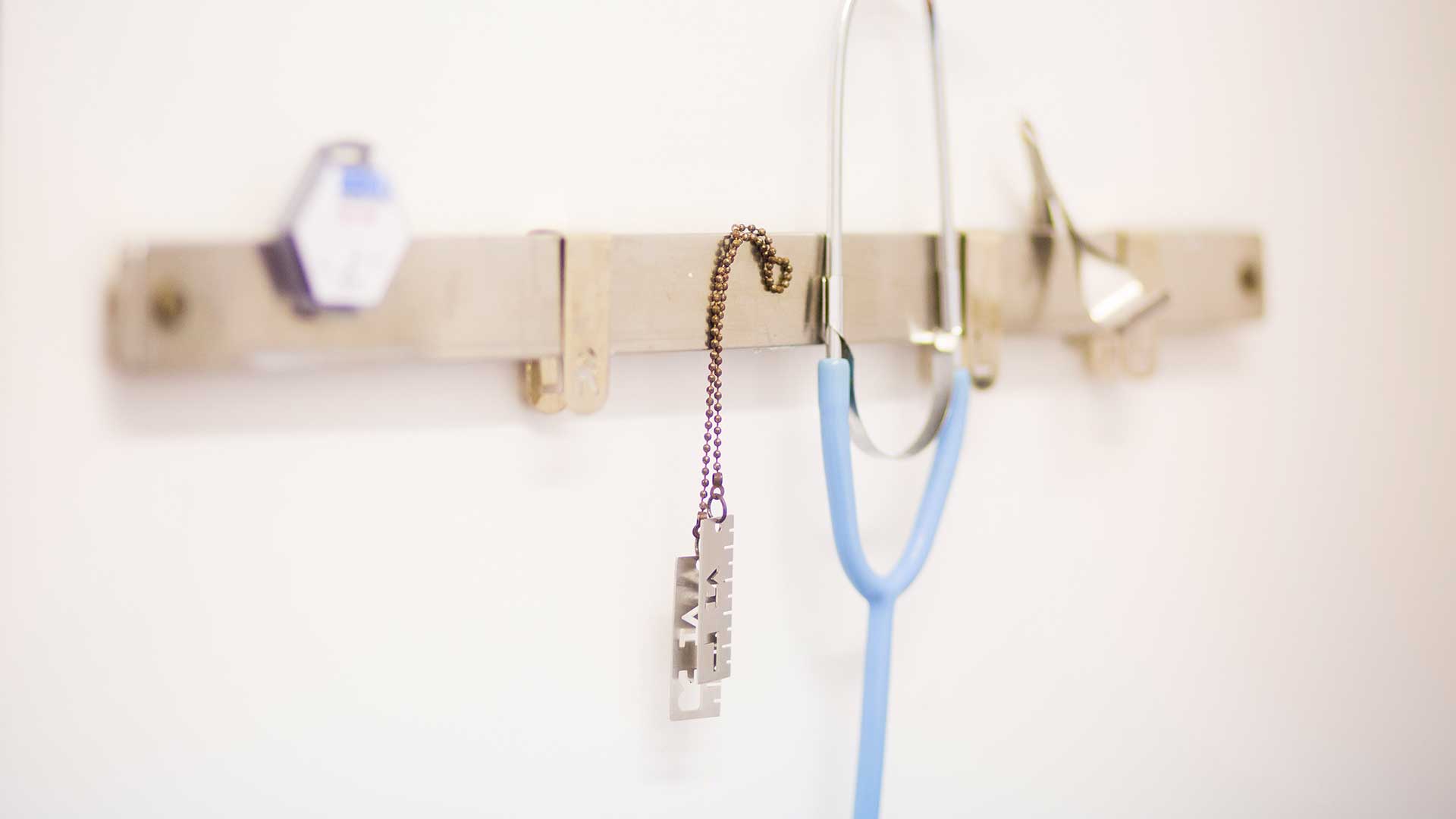 Facilities | Local Vets in Risca & Langstone - Alpha Vets