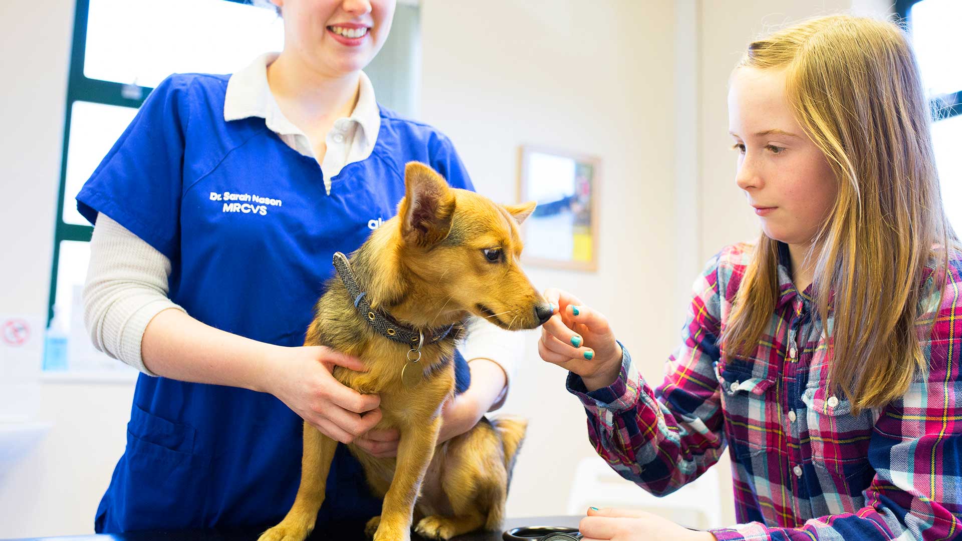 News & Blog | Local Vets in Risca and Langstone - Alpha Vets