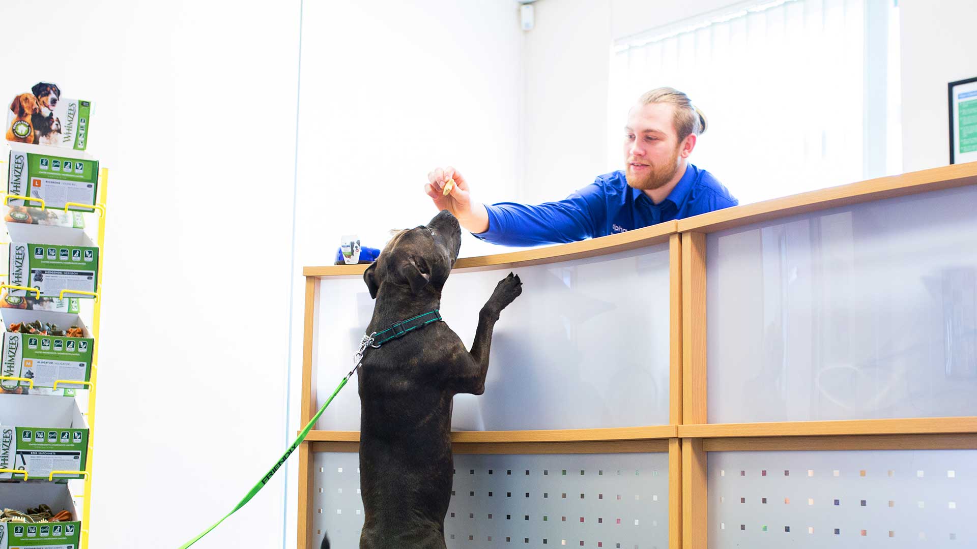 Offers | Local Vets in Risca and Langstone - Alpha Vets