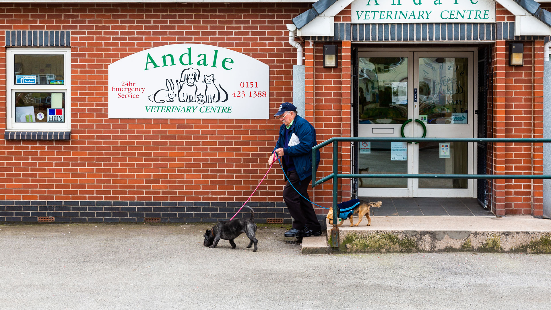 About Us Local Vets in Widnes Andale Vets