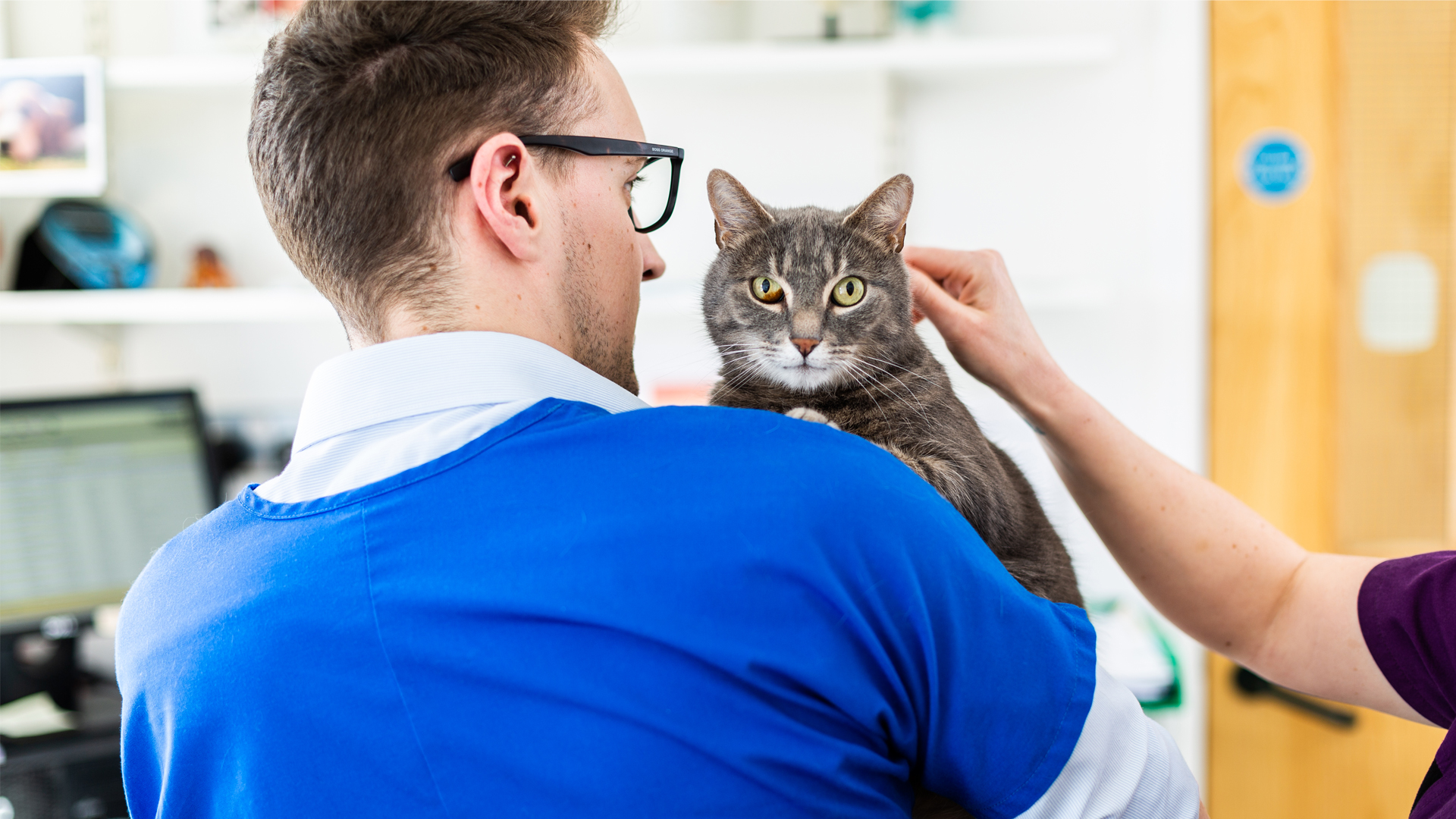 Offers Local Vets in Widnes Andale Vets