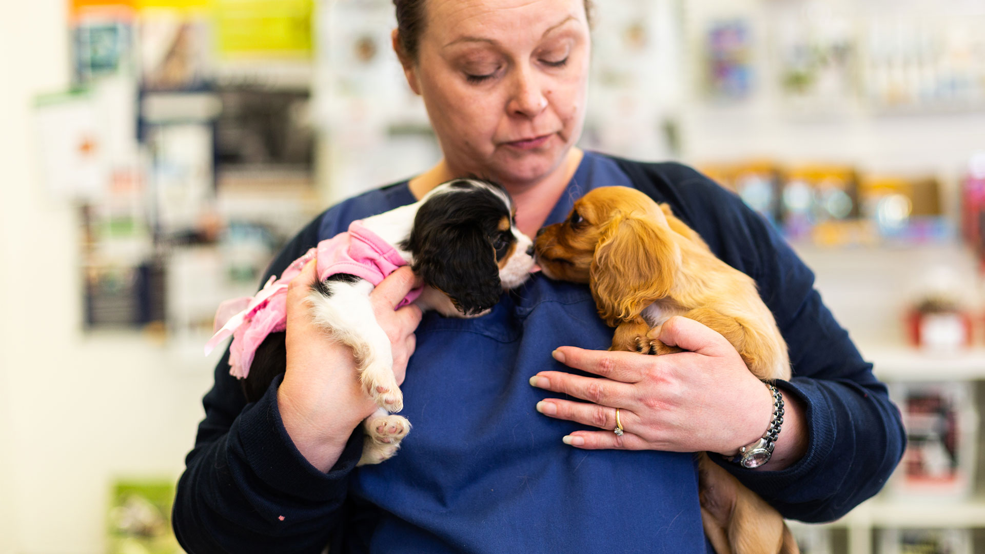 Register your Pet Local Vets in Widnes Andale Vets