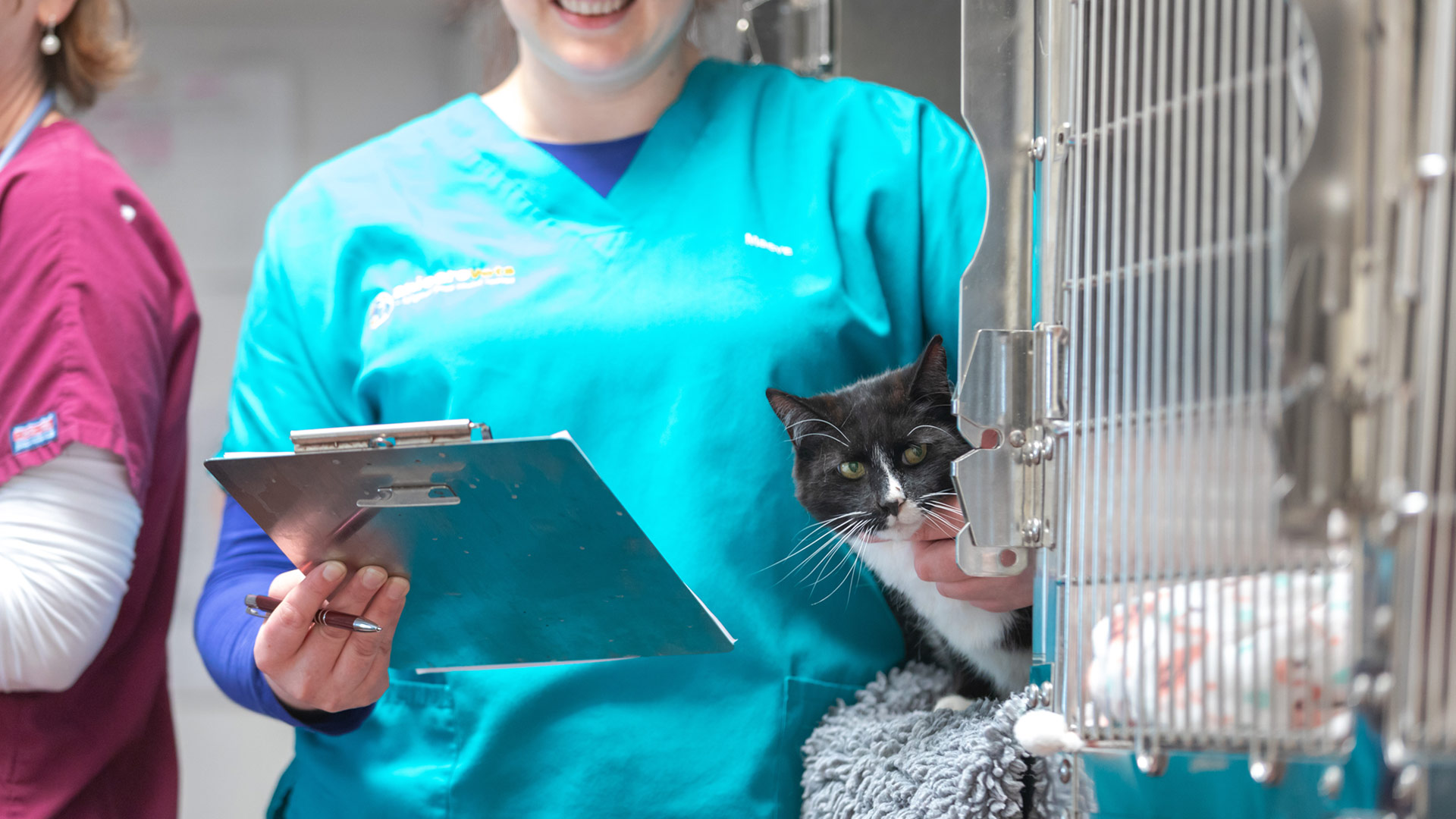 Veterinary Diagnostic Services Local Vets in North Dublin Anicare