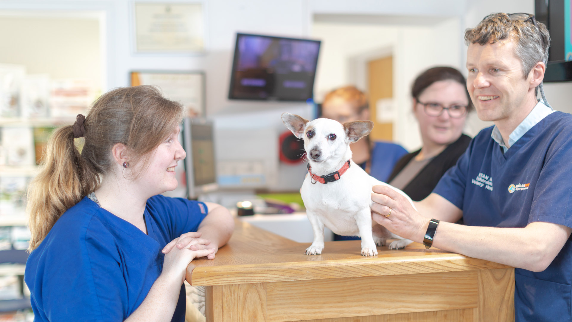 Vets in Dublin Affordable Dublin Vets Anicare Ireland Vets in Dublin Affordable Dublin Vets Anicare Ireland