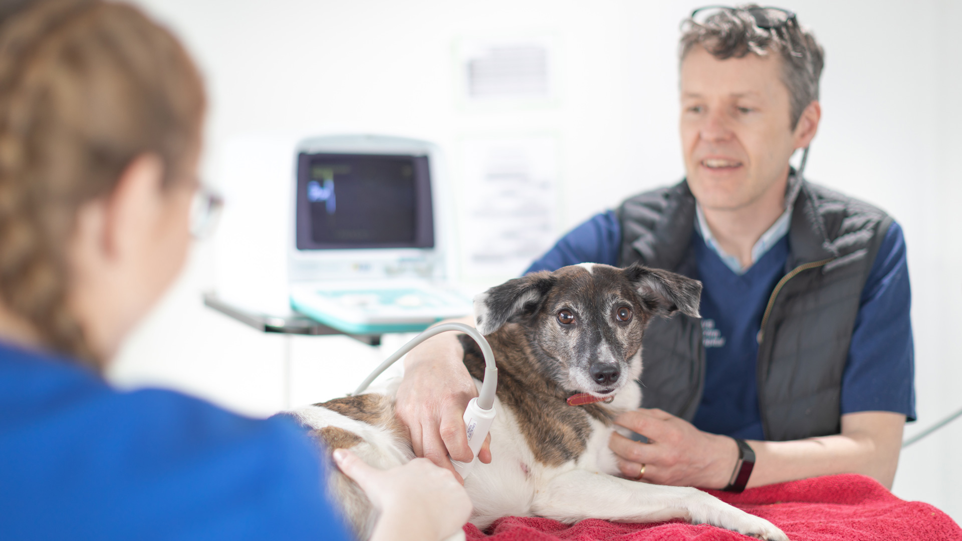 Veterinary Services Local Vets in North Dublin Anicare Ireland