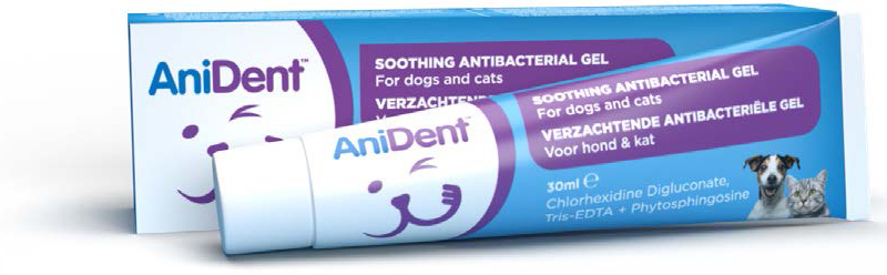 Our Products | AniDent dental range - Anident