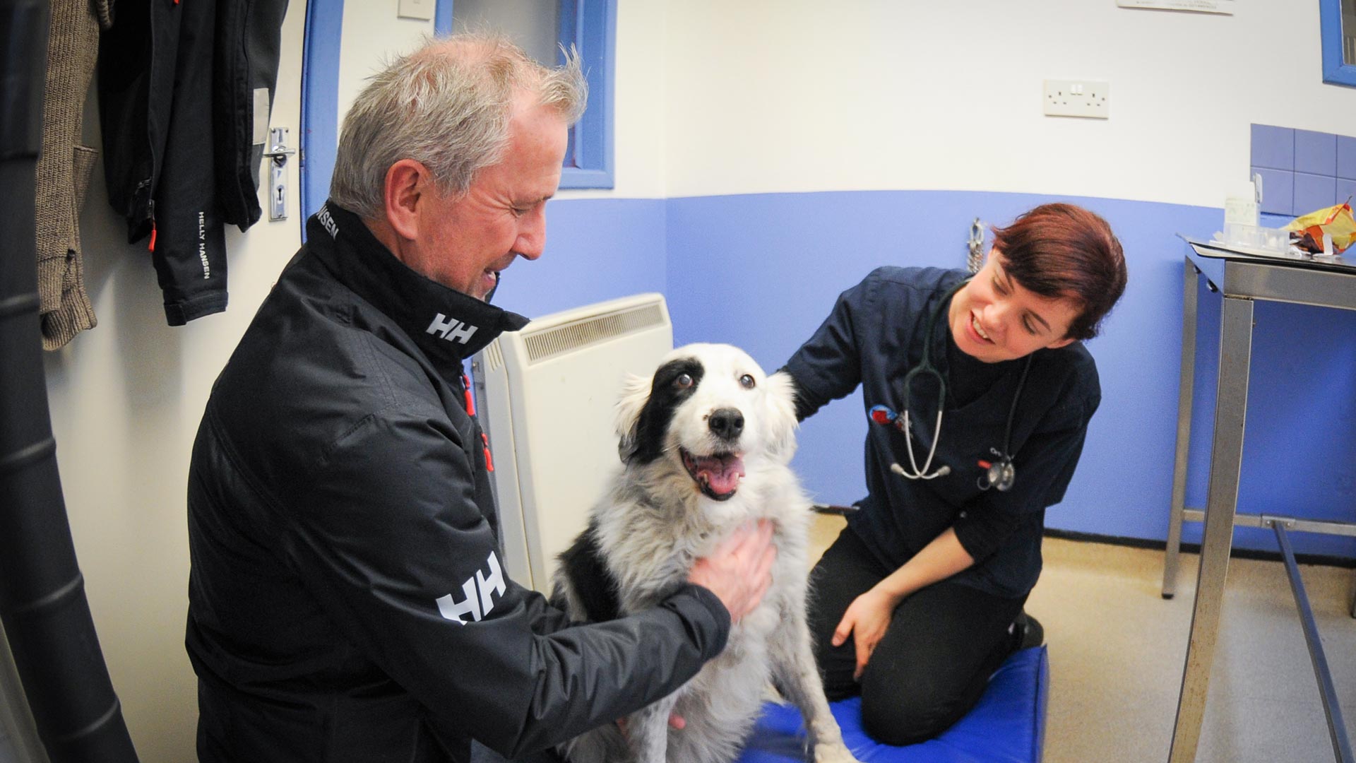 Meet the Team Local Vets in Douglas, Cork Animal Care