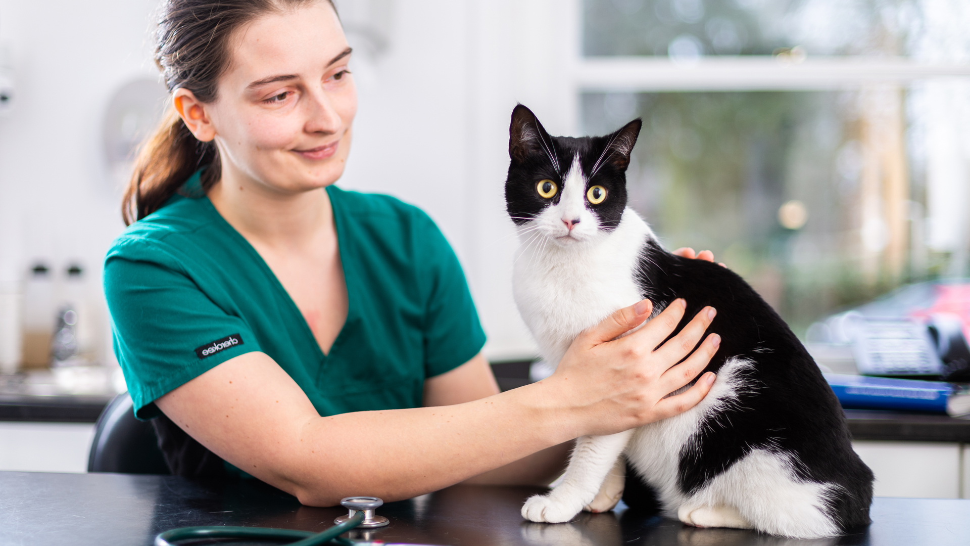 About Us | Local Vets in Rugby & Warwick - Animal House Vet Surgery