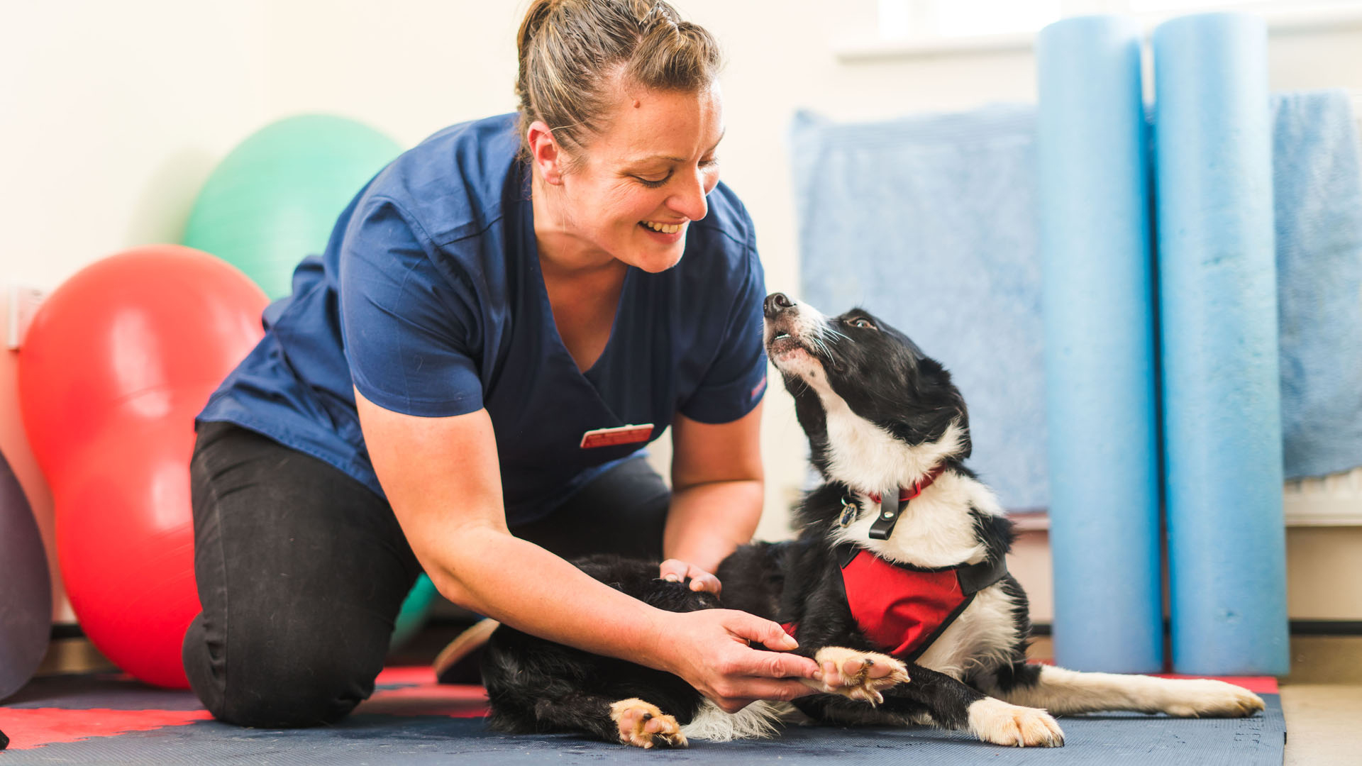 KLaser Service Vets in Warwick and Rugby Animal House Vet Surgery