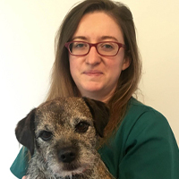 Meet the Team | Local Vets in Dublin - Ark Vetcare