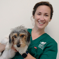 Saibh Madden - Veterinary Surgeon