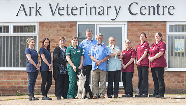 Local Vets In Colchester | Affordable Colchester Vets - Ark Veterinary  Centre