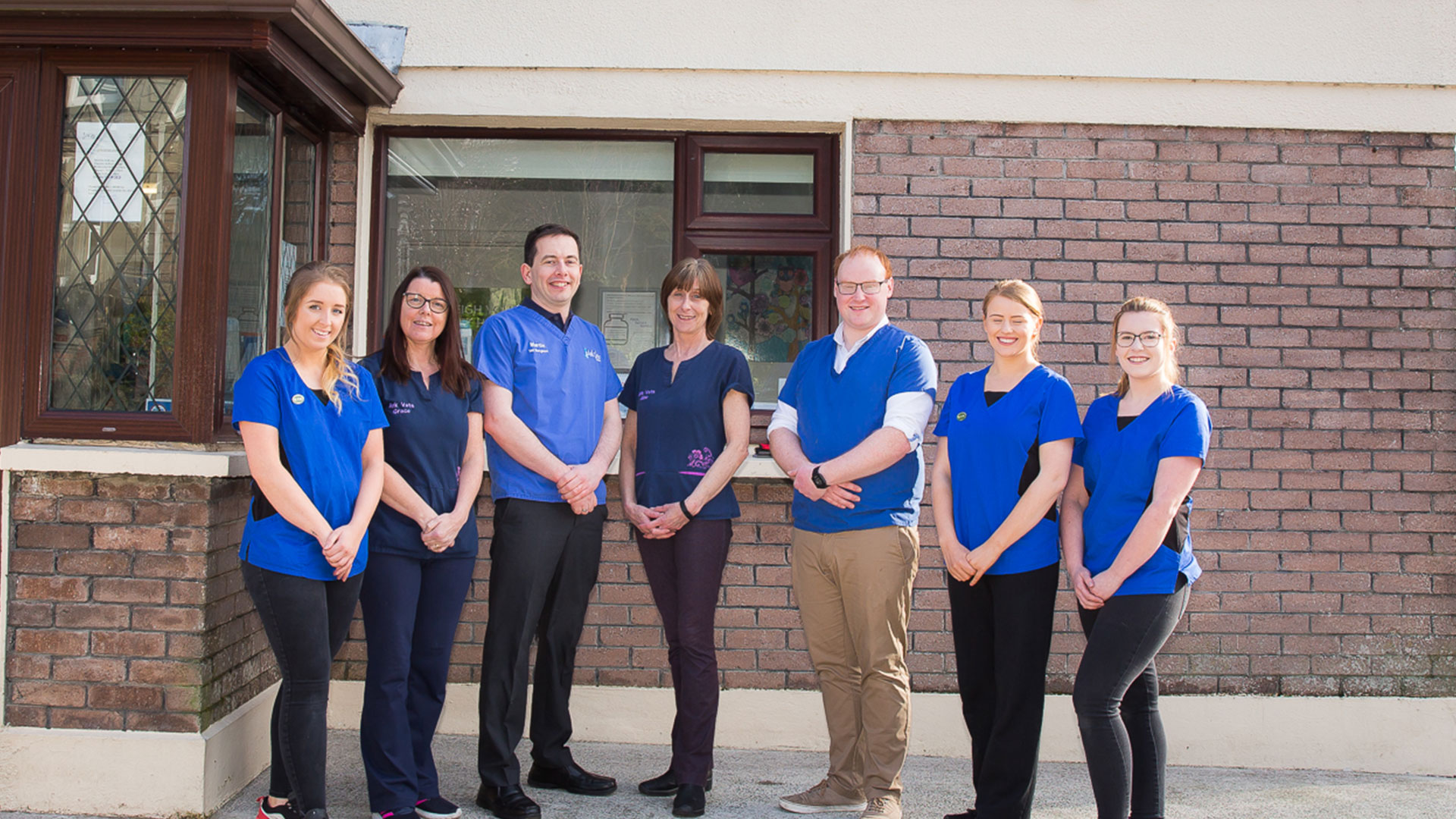Vets In Galway | Ireland - Ark Vets Galway Vets In Galway | Ireland - Ark Vets Galway