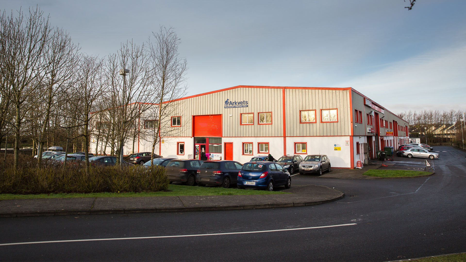 Vets In Galway | Ireland - Ark Vets Galway Vets In Galway | Ireland - Ark Vets Galway