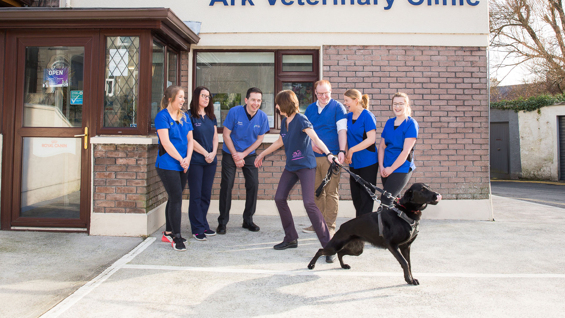Pet Advice in Galway Ark Vets Galway Ark Vets Galway