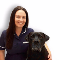 Shelley Quirk - Receptionist
