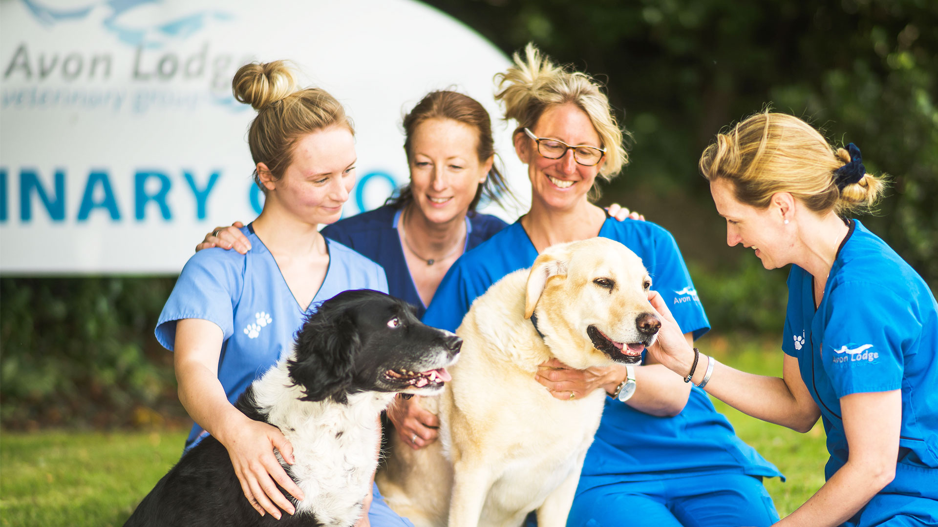 Learn More About Your Local Vet Team. Your Wiltshire Vet Team in