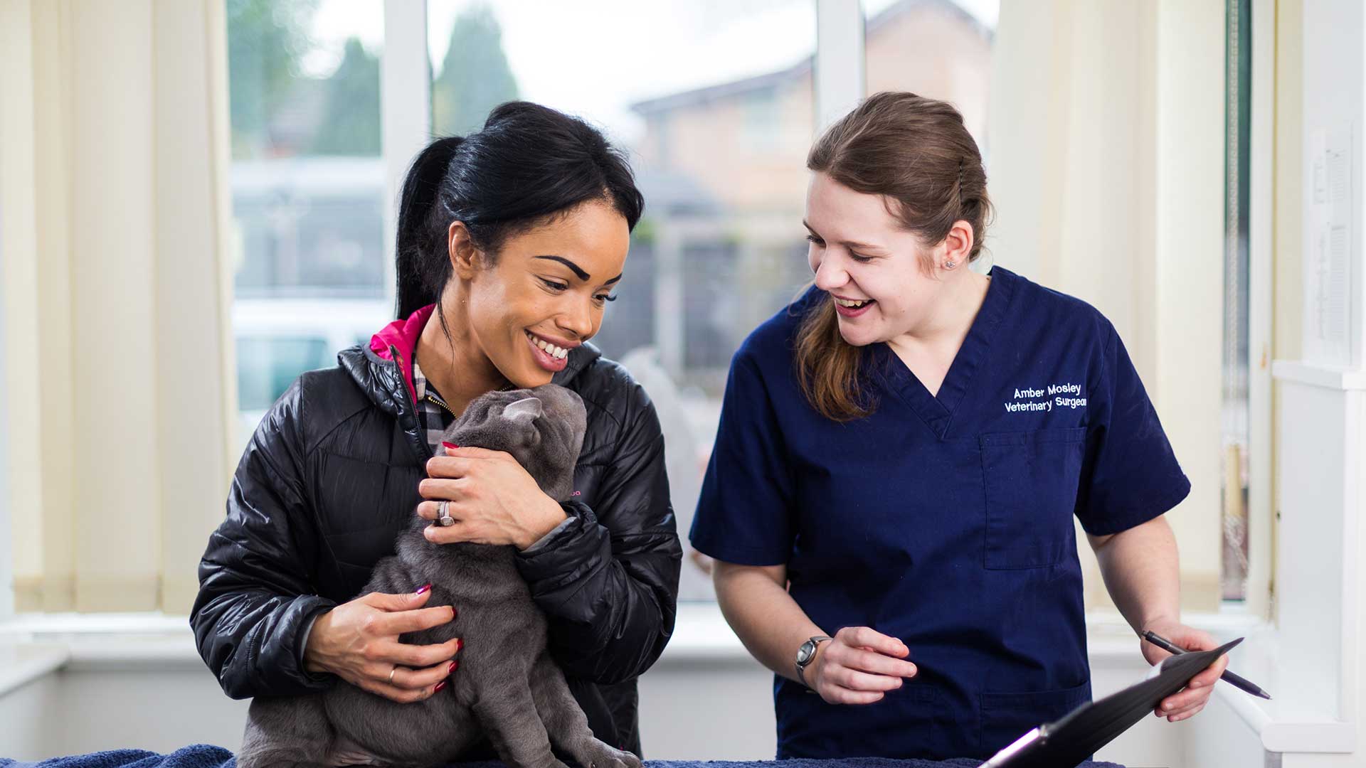 Contact Balby & Maltby Vets Veterinary Experts in and Around