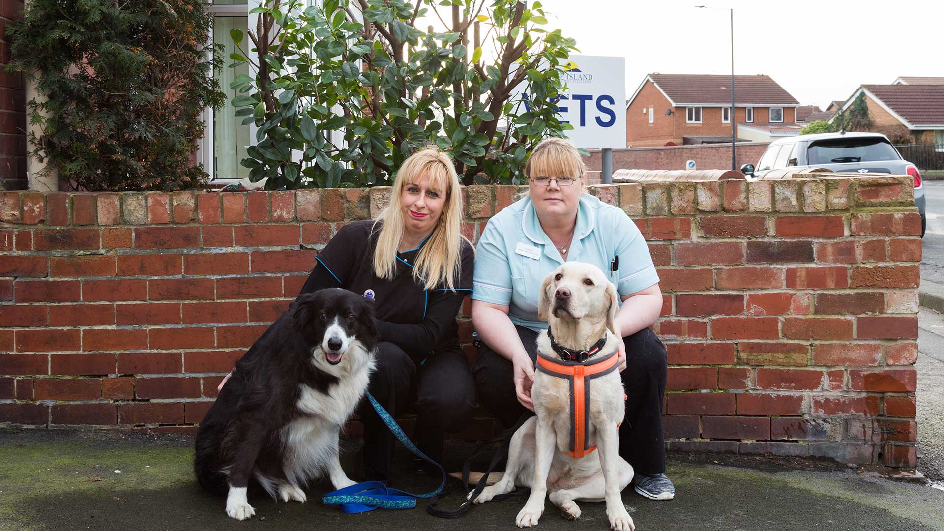 The Team at Balby & Maltby Vets Veterinary Experts in Doncaster