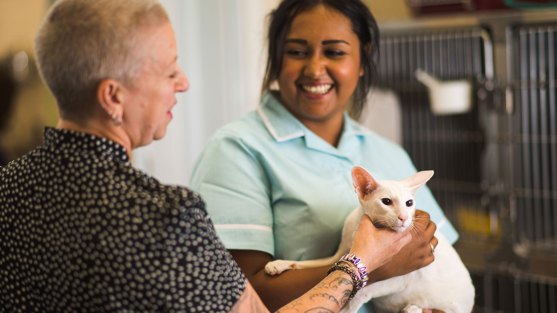 Client Charter Vet Clinic In Woolwich And Charlton Barrier Animal 