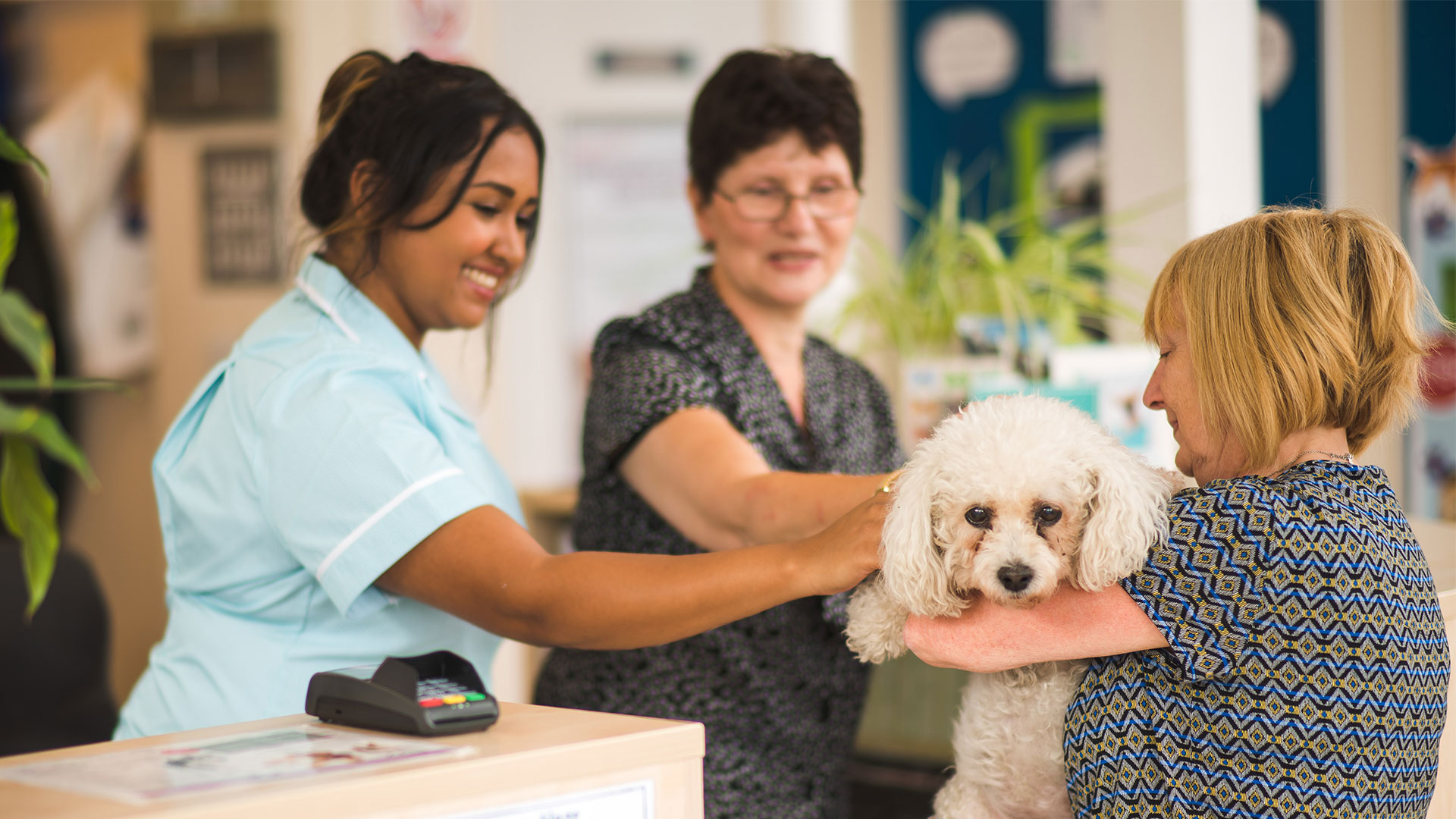 Office Tour Lenexa, KS Cat Clinic Of Johnson County