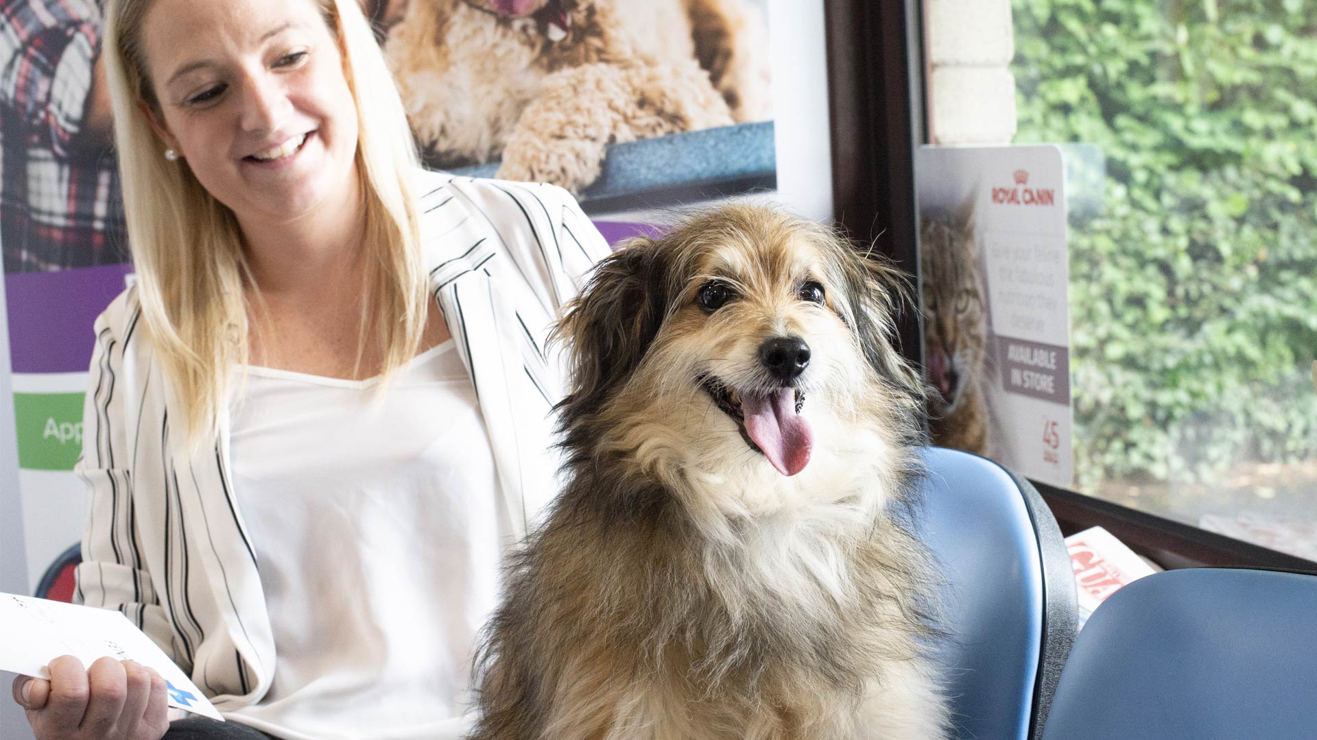 Find Vets In & Near Kent Barrow Hill Vet Centre Barrow Hill