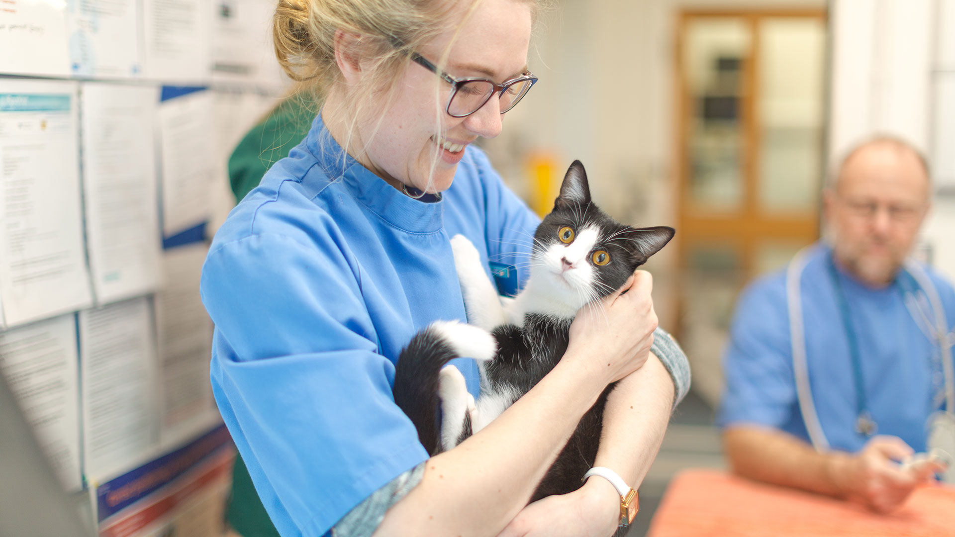 Vet Clinic in and around Hemel Hempstead About Us Barton Lodge