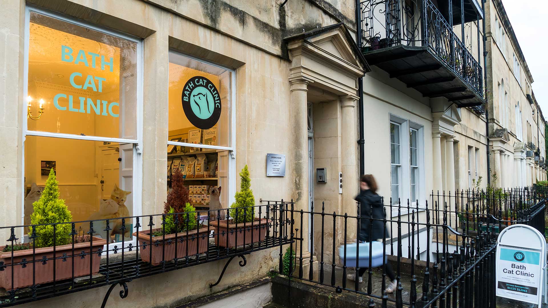 About Bath Cat Clinic | Your Local Vet - Bath Cat Clinic