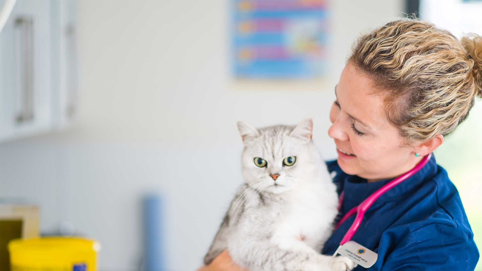 Our Vets And Specialists Bath Bath Vets Bath Vet Group