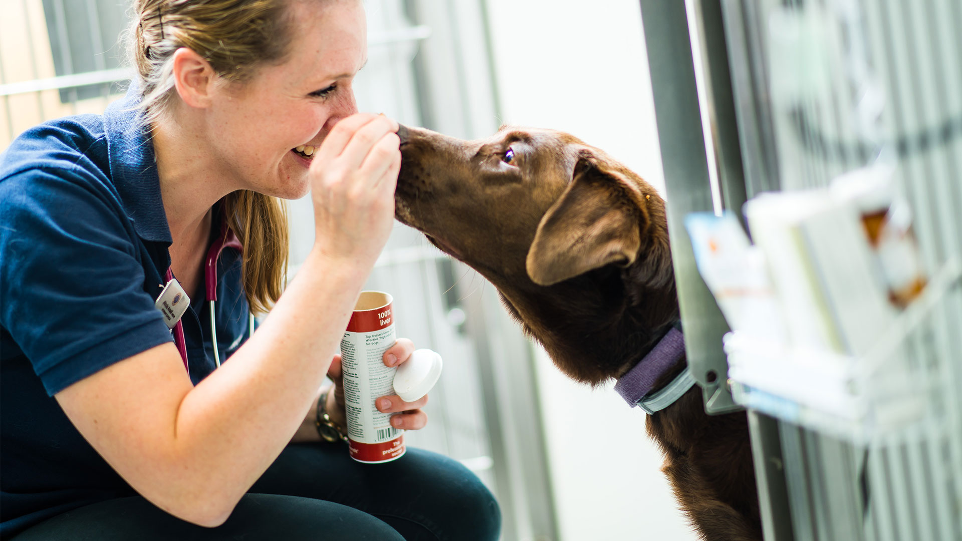 Latest news from Bath Vet Group Bath Vet Group