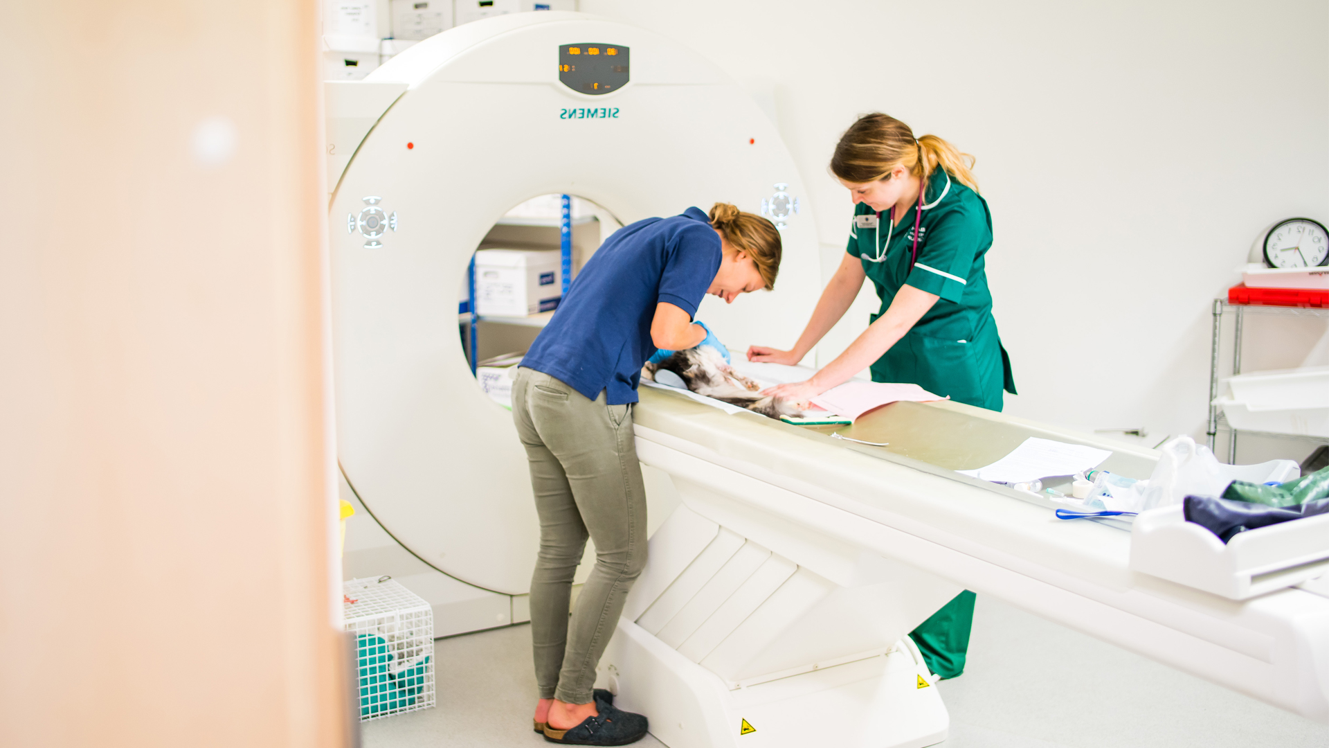 Referral Form by Bath Vet Referrals Local vets in Bath Bath Vet