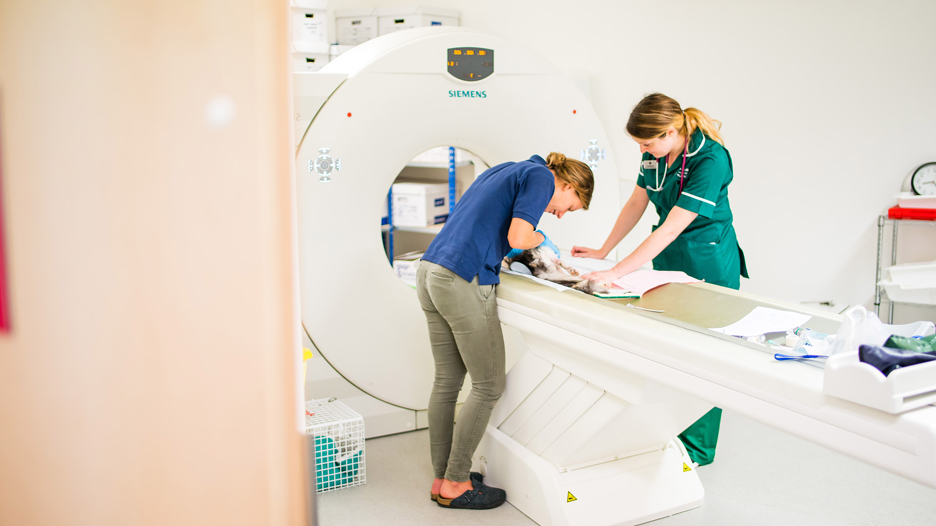 Vet Services at Rosemary Lodge Hospital in Bath Bath Vet Referrals