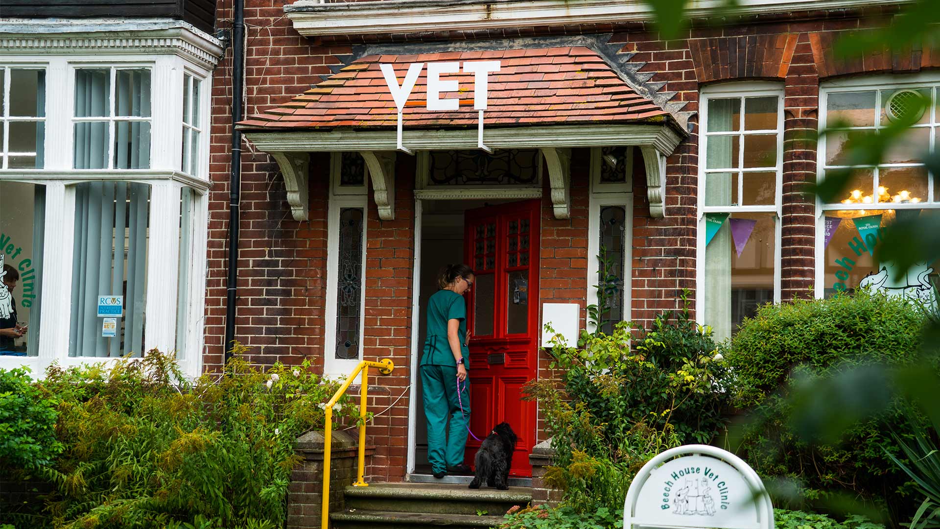 About Beech House Vet Brighton Your Local Vet Beech House Vet Brighton