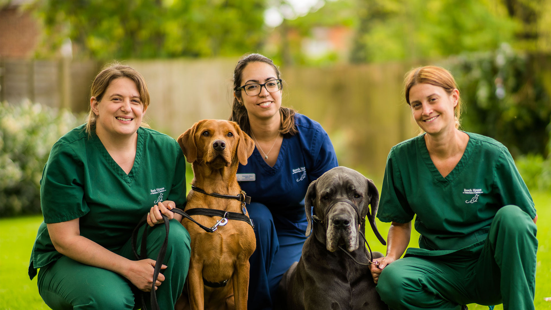 Terms of Sale for Veterinary Services - Beech House Vet Clinic