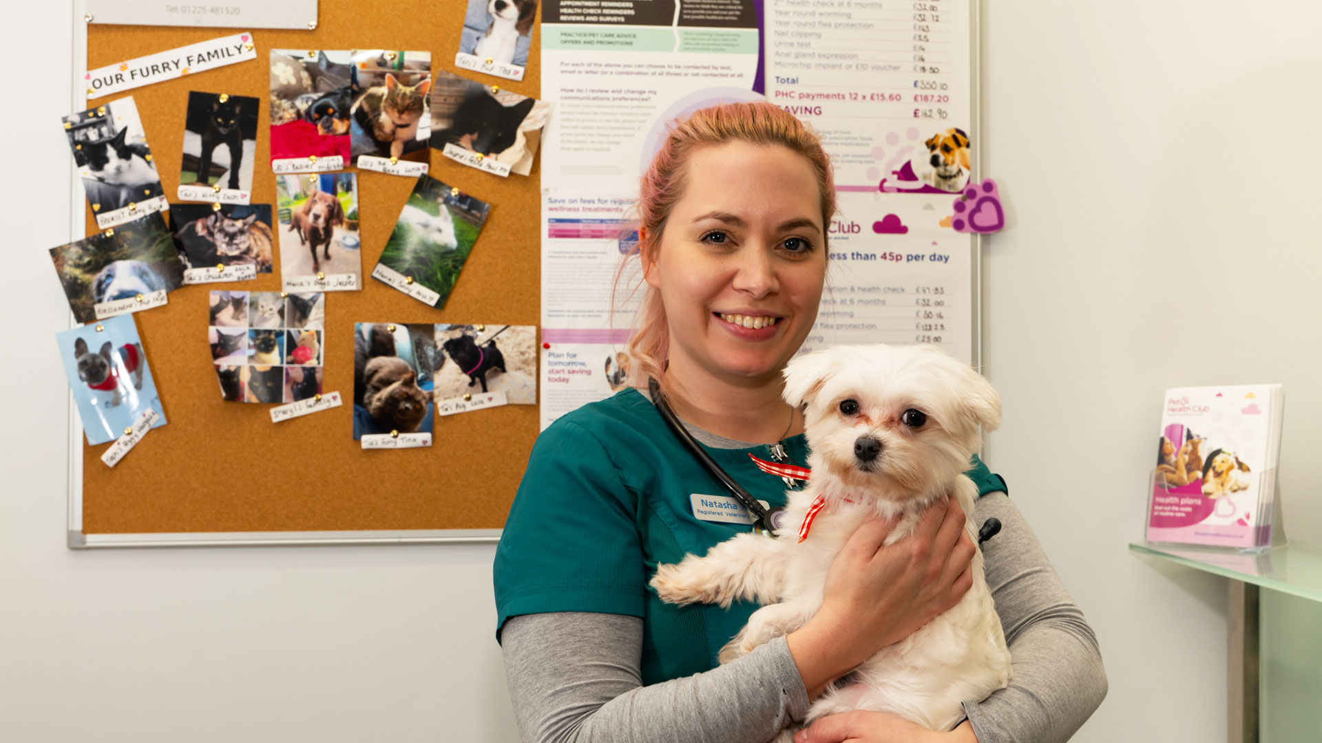 Vets in Birkenhead Affordable Birkenhead Vets Birkenhead Vets