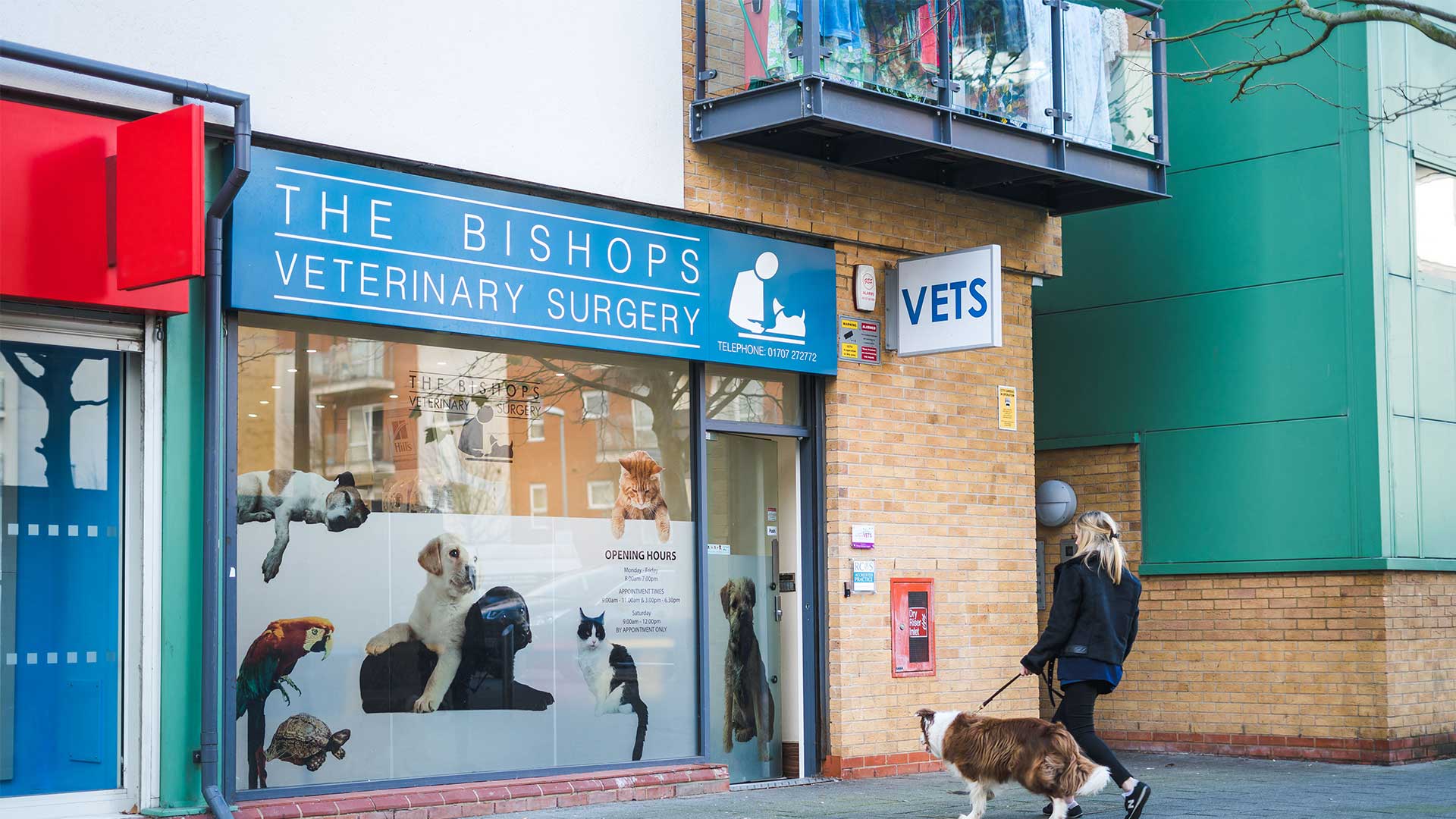 Register Your Pet Vet