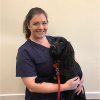 Meet the Team | Local Vets in Hatfield - Bishops Vet